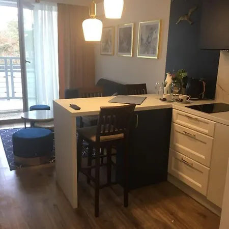 apartament przy PLAZY SEAGULL Dziwnówek Zewnętrze zdjęcie